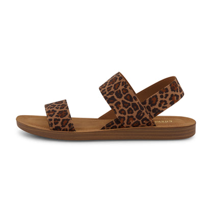 Leopard,6